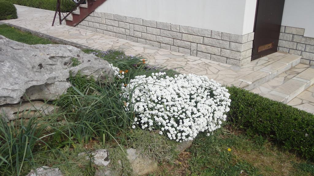 Apartment Fabris Roč الغرفة الصورة